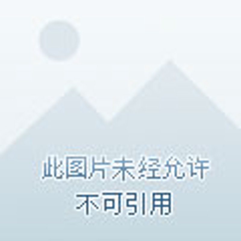 企业管理系统:数字化转型新时代的利器